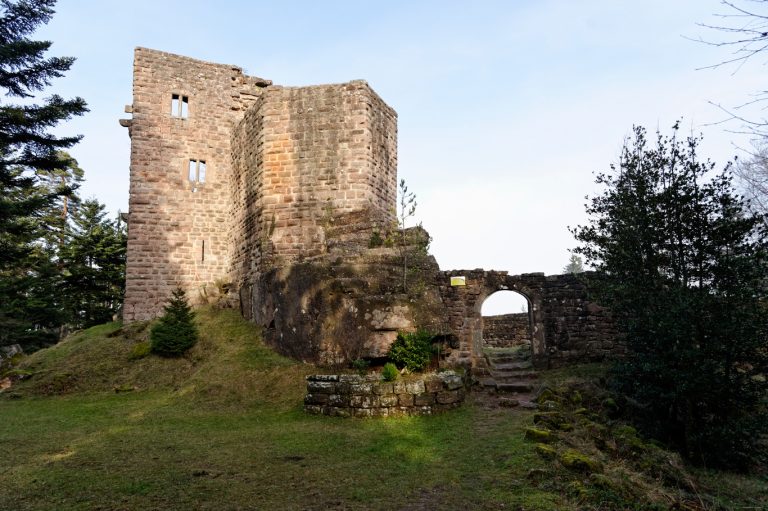 Palais et donjon du château du Birkenfels - Crédit : P. Lutz