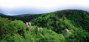 Vue du château du Nideck - Crédit : ADT FZ Vardon