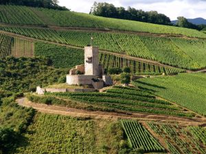 Vue d'ensemble du château du Wineck - Crédit : OT Kaysersberg