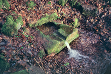 ruine château fort