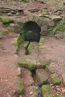 ruine château fort